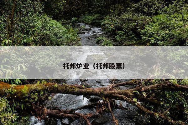 托邦炉业（托邦股票）