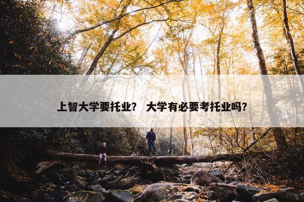 上智大学要托业？ 大学有必要考托业吗？