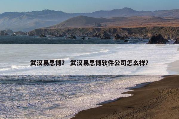 武汉易思博？ 武汉易思博软件公司怎么样？
