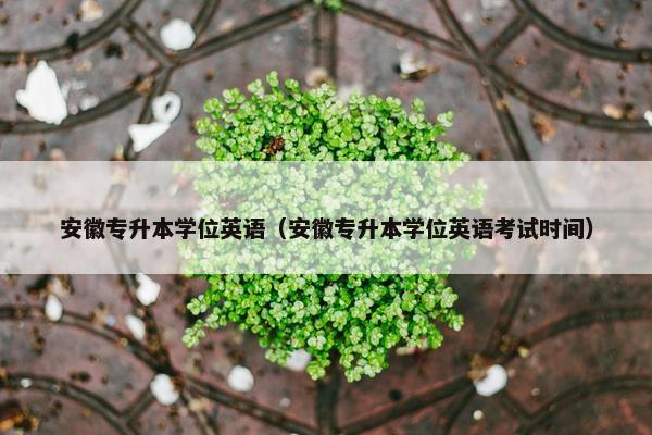 安徽专升本学位英语（安徽专升本学位英语考试时间）