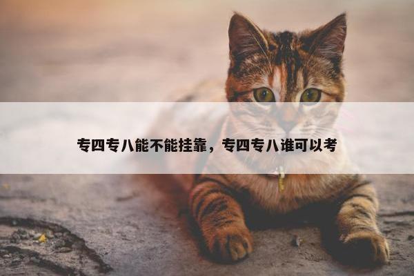 专四专八能不能挂靠，专四专八谁可以考