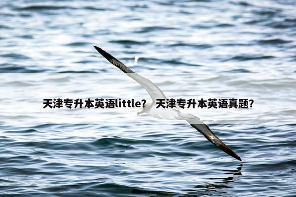 天津专升本英语little？ 天津专升本英语真题？