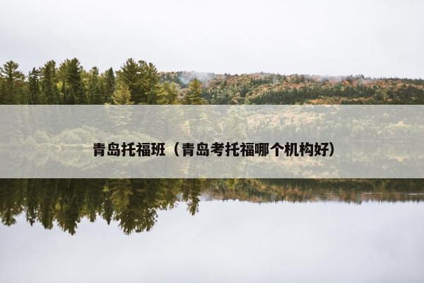 青岛托福班（青岛考托福哪个机构好）