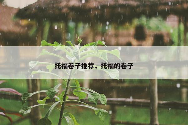 托福卷子推荐，托福的卷子