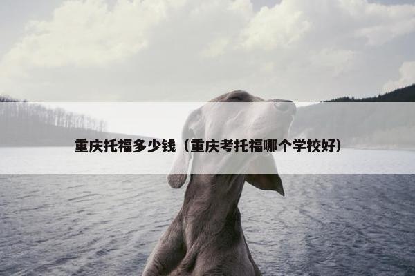 重庆托福多少钱（重庆考托福哪个学校好）