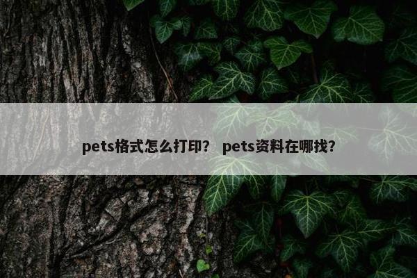 pets格式怎么打印？ pets资料在哪找？