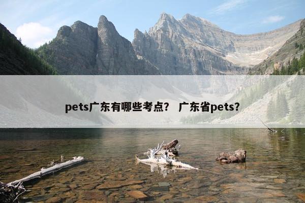pets广东有哪些考点？ 广东省pets？