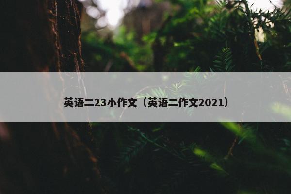 英语二23小作文（英语二作文2021）