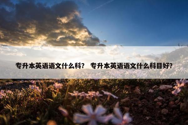 专升本英语语文什么科？ 专升本英语语文什么科目好？