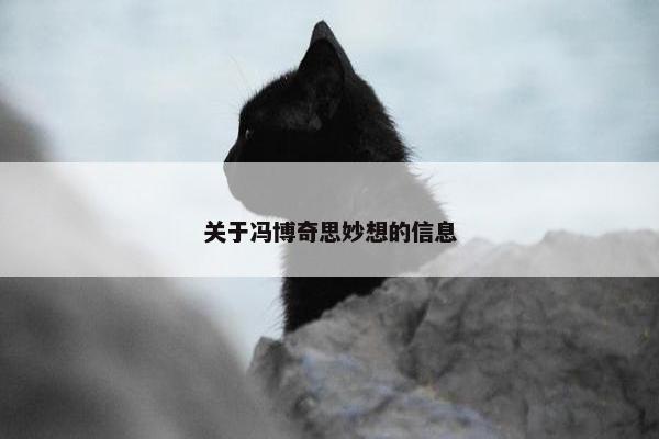 关于冯博奇思妙想的信息