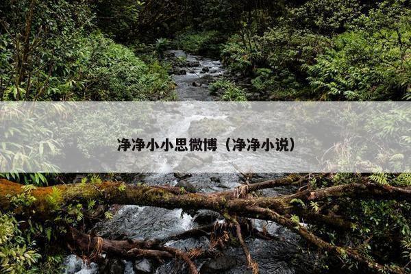 净净小小思微博（净净小说）