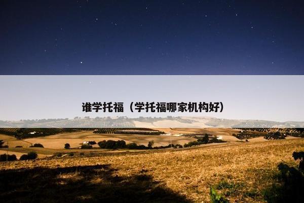谁学托福（学托福哪家机构好）