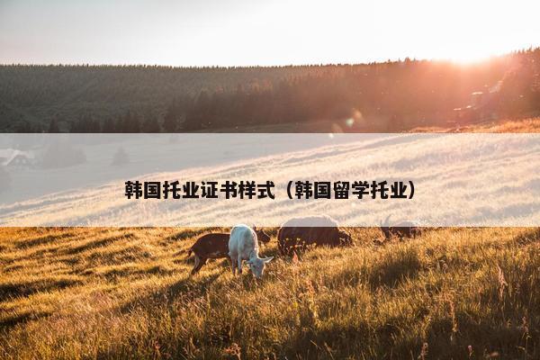 韩国托业证书样式（韩国留学托业）