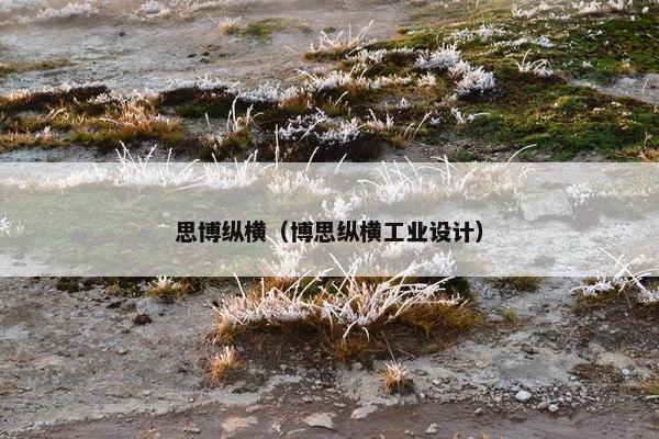 思博纵横（博思纵横工业设计）