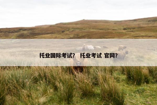 托业国际考试？ 托业考试 官网？