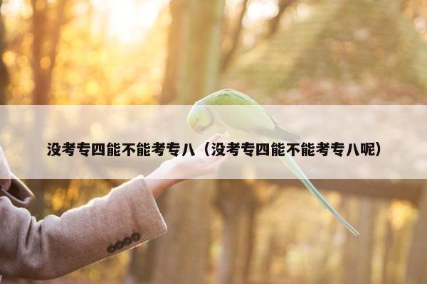 没考专四能不能考专八（没考专四能不能考专八呢）