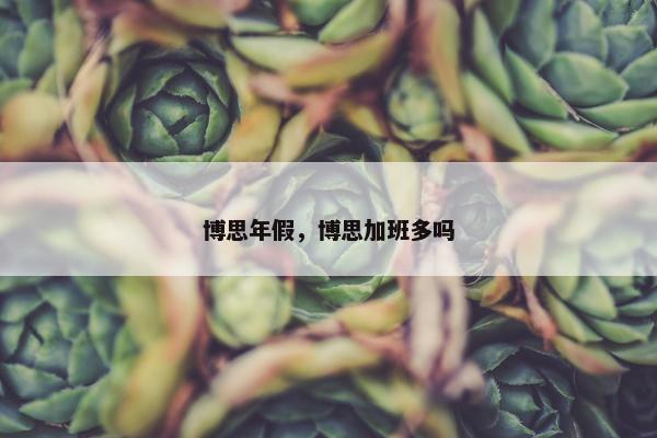 博思年假，博思加班多吗