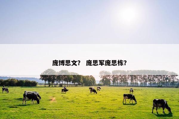 庞博思文？ 庞思军庞思栋？