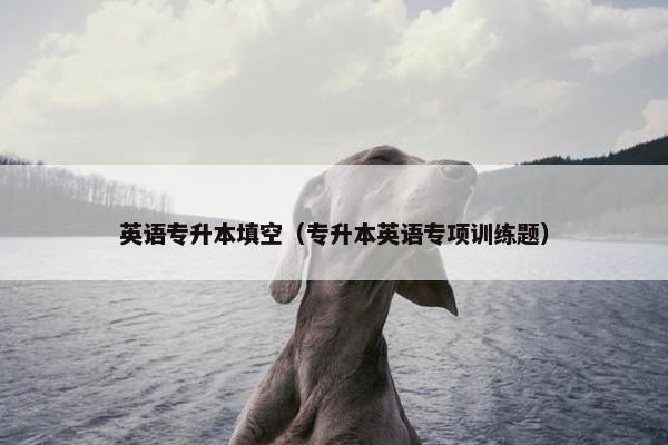 英语专升本填空（专升本英语专项训练题）