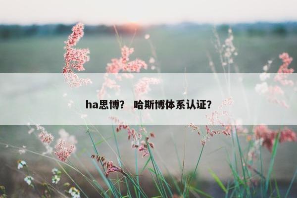 ha思博？ 哈斯博体系认证？