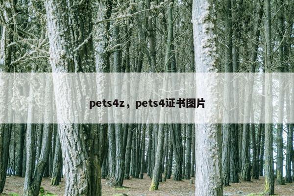 pets4z，pets4证书图片