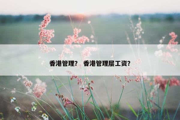 香港管理？ 香港管理层工资？