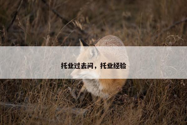 托业过去问，托业经验