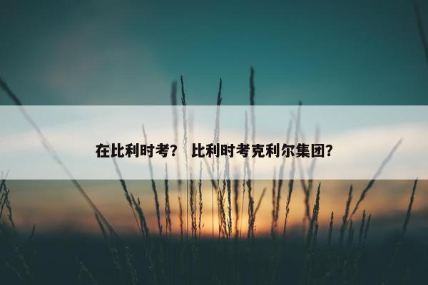 在比利时考？ 比利时考克利尔集团？