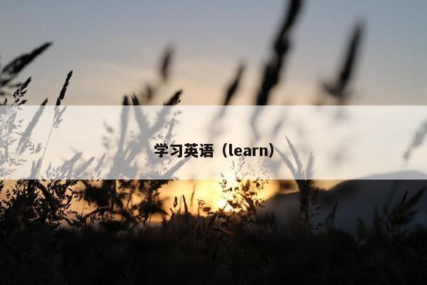学习英语（learn）