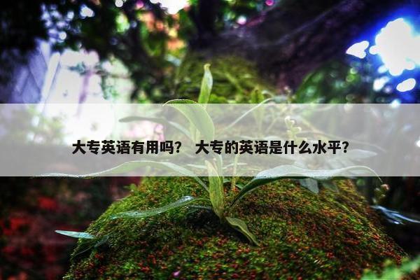 大专英语有用吗？ 大专的英语是什么水平？