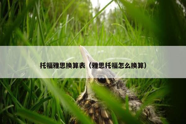 托福雅思换算表（雅思托福怎么换算）