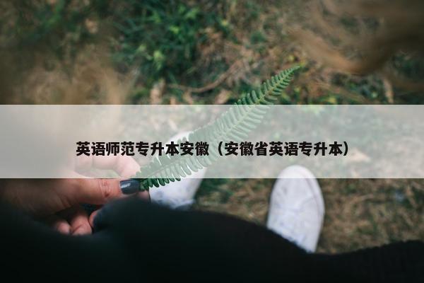 英语师范专升本安徽（安徽省英语专升本）