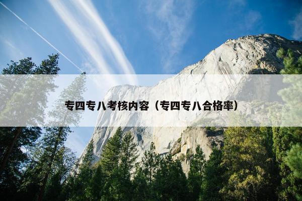 专四专八考核内容（专四专八合格率）