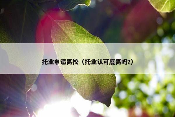 托业申请高校（托业认可度高吗?）