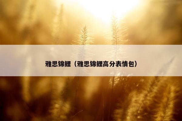 雅思锦鲤（雅思锦鲤高分表情包）
