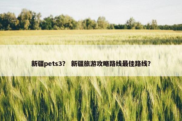 新疆pets3？ 新疆旅游攻略路线最佳路线？