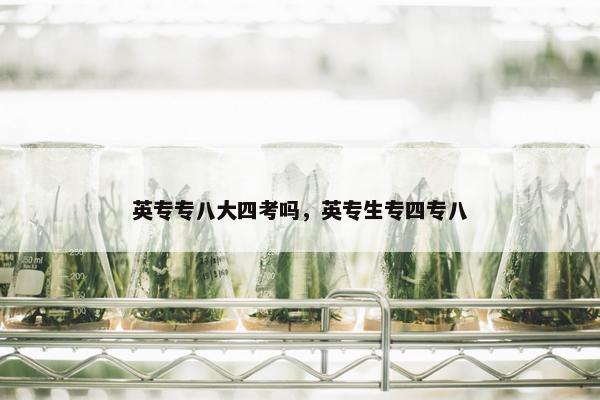 英专专八大四考吗，英专生专四专八