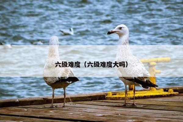 六级难度（六级难度大吗）