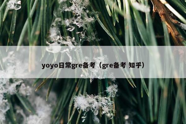 yoyo日常gre备考（gre备考 知乎）