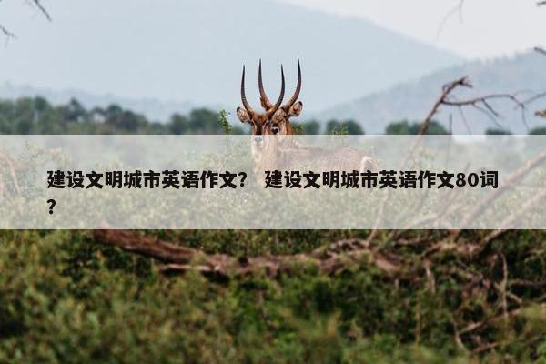 建设文明城市英语作文？ 建设文明城市英语作文80词？