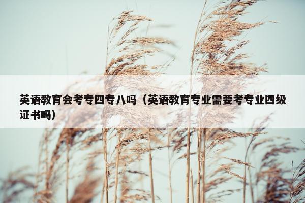英语教育会考专四专八吗（英语教育专业需要考专业四级证书吗）