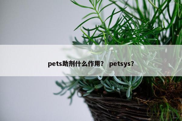 pets助剂什么作用？ petsys？