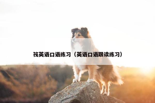 筏英语口语练习（英语口语跟读练习）