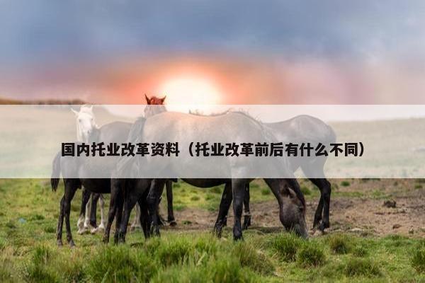 国内托业改革资料（托业改革前后有什么不同）