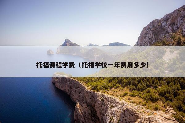 托福课程学费（托福学校一年费用多少）