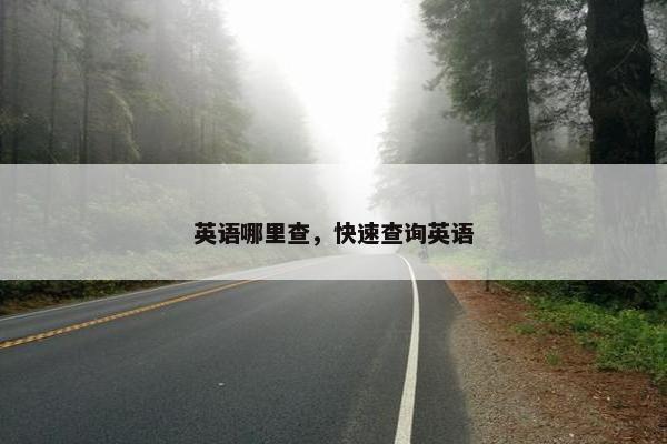 英语哪里查，快速查询英语