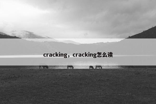 cracking，cracking怎么读