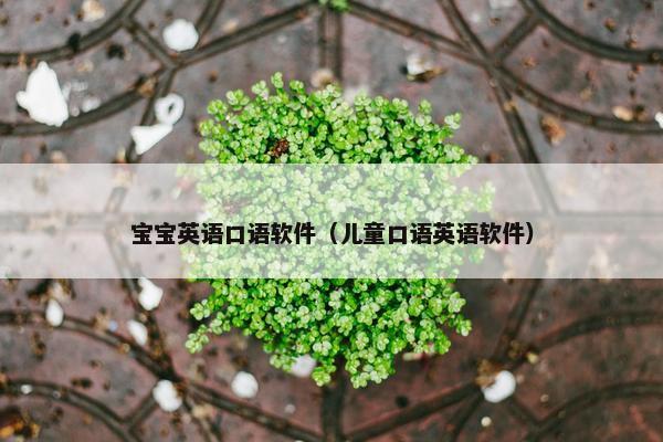 宝宝英语口语软件（儿童口语英语软件）