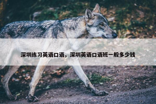 深圳练习英语口语，深圳英语口语班一般多少钱
