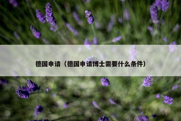 德国申请（德国申请博士需要什么条件）